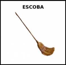 ESCOBA - Foto