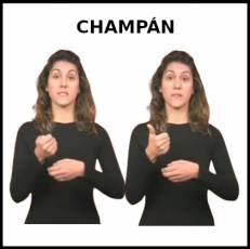 CHAMPÁN - Signo