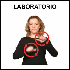 LABORATORIO - Signo