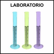 LABORATORIO - Foto