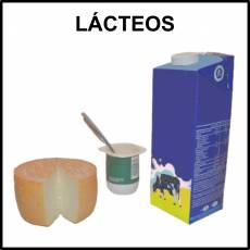 LÁCTEOS - Foto