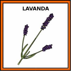 LAVANDA - Pictograma (color)