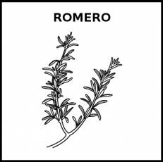 ROMERO - Pictograma (blanco y negro)
