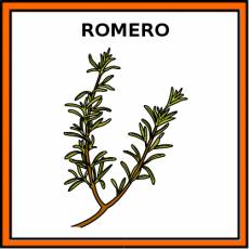 ROMERO - Pictograma (color)
