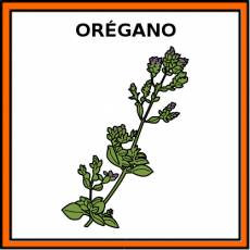 ORÉGANO - Pictograma (color)