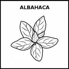 ALBAHACA - Pictograma (blanco y negro)