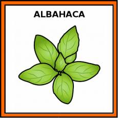 ALBAHACA - Pictograma (color)