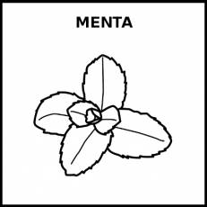 MENTA - Pictograma (blanco y negro)