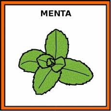 MENTA - Pictograma (color)