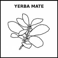 YERBA MATE - Pictograma (blanco y negro)