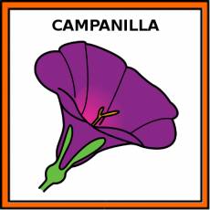 CAMPANILLA - Pictograma (color)