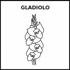 GLADIOLO - Pictograma (blanco y negro)
