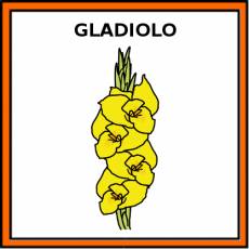 GLADIOLO - Pictograma (color)