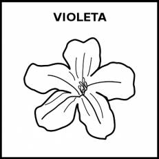 VIOLETA - Pictograma (blanco y negro)