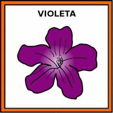VIOLETA - Pictograma (color)