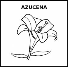 AZUCENA - Pictograma (blanco y negro)
