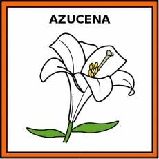 AZUCENA - Pictograma (color)