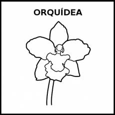 ORQUÍDEA - Pictograma (blanco y negro)