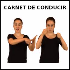 CARNET DE CONDUCIR - Signo