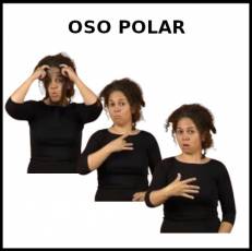 OSO POLAR - Signo