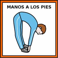 MANOS A LOS PIES - Pictograma (color)