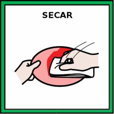 SECAR (OBJETO) - Pictograma (color)