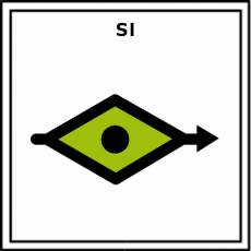 SI (CONDICIONAL) - Pictograma (color)
