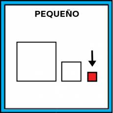 PEQUEÑO - Pictograma (color)