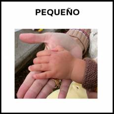 PEQUEÑO - Foto