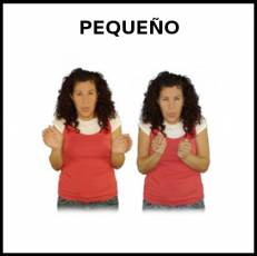 PEQUEÑO - Signo