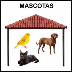 MASCOTAS - Foto