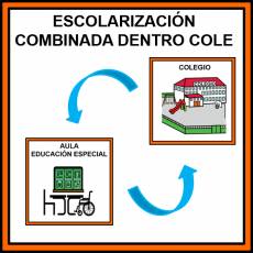 ESCOLARIZACIÓN COMBINADA DENTRO COLE - Pictograma (color)