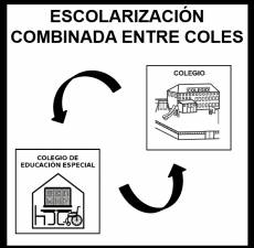 ESCOLARIZACIÓN COMBINADA ENTRE COLES - Pictograma (blanco y negro)