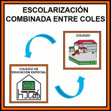 ESCOLARIZACIÓN COMBINADA ENTRE COLES - Pictograma (color)
