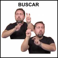 BUSCAR (OBJETO) - Signo