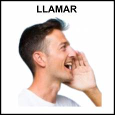 LLAMAR - Foto