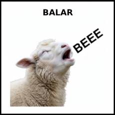 BALAR - Foto