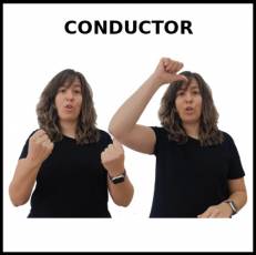 CONDUCTOR (AUTOBÚS) - Signo