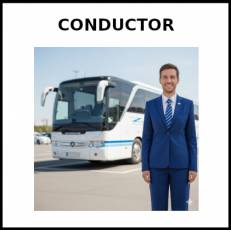 CONDUCTOR (AUTOBÚS) - Foto