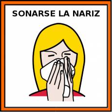 SONARSE LA NARIZ (FEMENINO) - Pictograma (color)