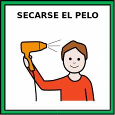 SECARSE EL PELO (MASCULINO) - Pictograma (color)