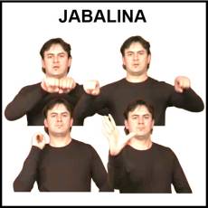 JABALINA - Signo