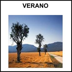 VERANO - Foto