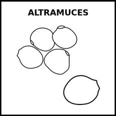 ALTRAMUCES - Pictograma (blanco y negro)