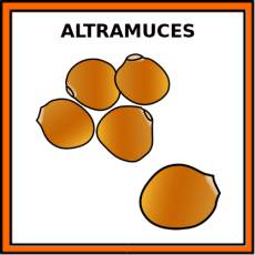 ALTRAMUCES - Pictograma (color)