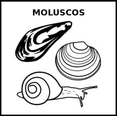 MOLUSCOS - Pictograma (blanco y negro)