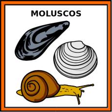 MOLUSCOS - Pictograma (color)