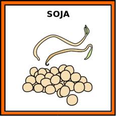 SOJA - Pictograma (color)