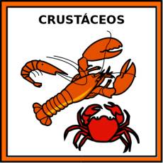 CRUSTÁCEOS - Pictograma (color)